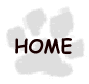 Spirit's home
